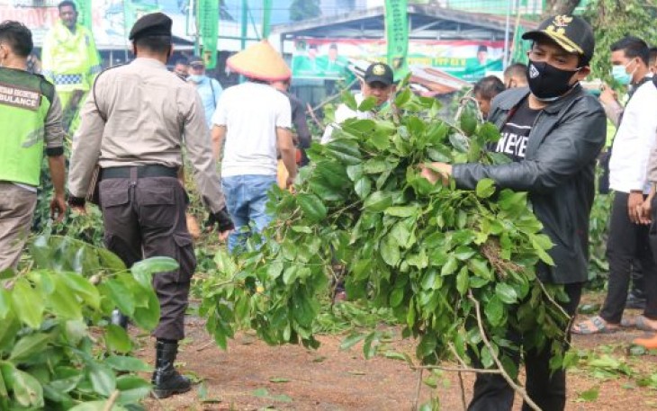 Wakil Wali Kota Bengkulu Dedy Wahyudi  