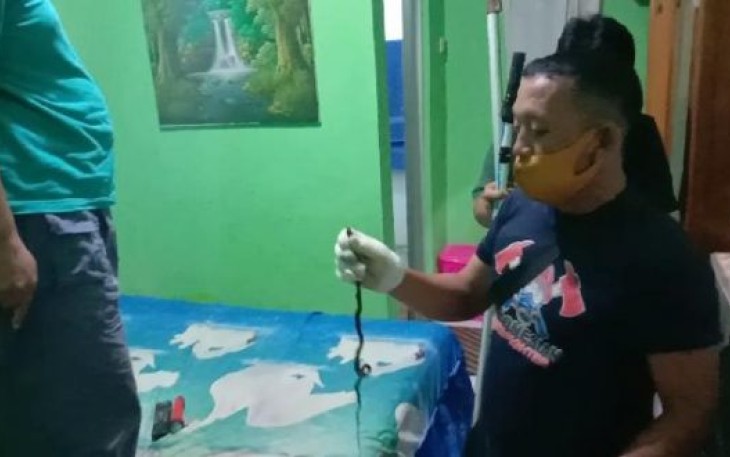 Petugas Rescue Dinas Pemadam Kebakaran dan Penyelamatan Kota Bengkulu