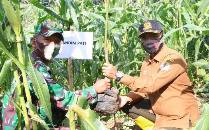 Perhutani Akhiri Masa Tanam 2020 Dengan Hijaukan Pegunungan Kendeng
