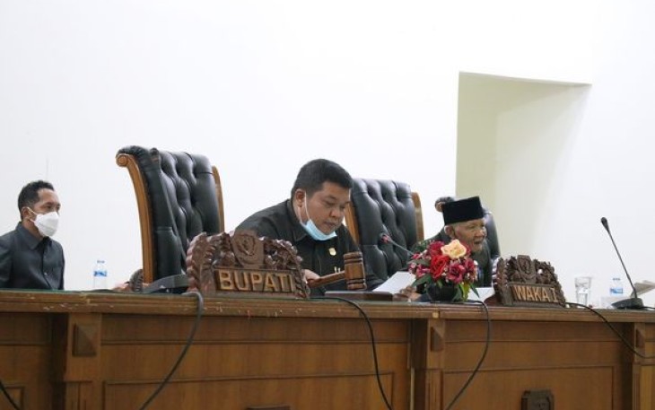 Wakil Ketua 1 DPRD Andrian Defandra SE MSi