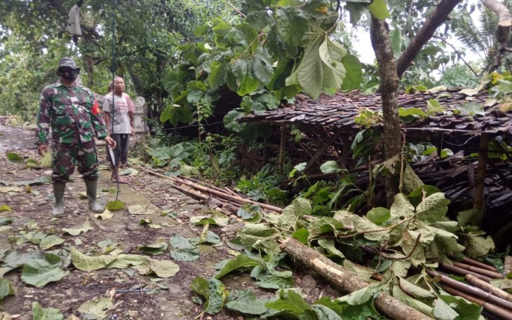 Piket Koramil 10/Wuryantoro Kodim 0728/Wng Sertu Rukimin mendatangi lokasi pohon tumbang