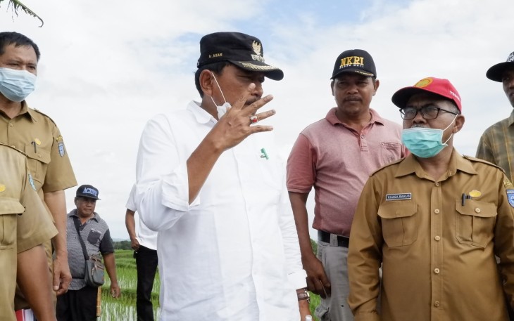 Bupati Bengkulu Utara Ir Mian Saat Tinjau Saluran Irigasi di Persawahan Kemumu