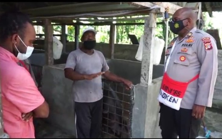 Tim Divisi Humas Tinjau Peternakan Binaan Binmas Noken Polri di Mimika, Berawal 2 Pasang, Berkembang Hingga 42 Pasang