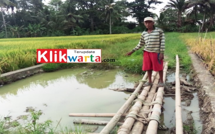Petani Keluhkan Akses Sentral Produksi Area Persawahan Air Putih Lukap