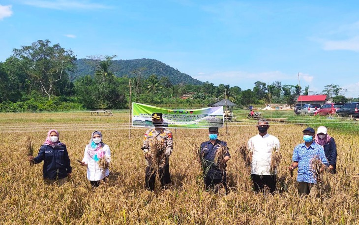 Foto Panen Bersama 