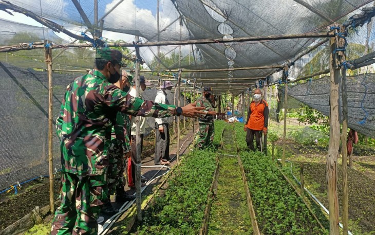 Kodim Palangka Raya Optimalkan Peran Babinsa Dalam Mendukung Ketahanan Pangan Di Wilayah