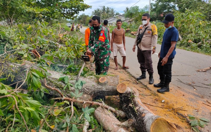 Tak Kenal Hari Libur, Babinsa Kodim 1203/ktp Ajak Warga Gotong-Royong Tebang Pohon Rapuh Di Tepi Jalan