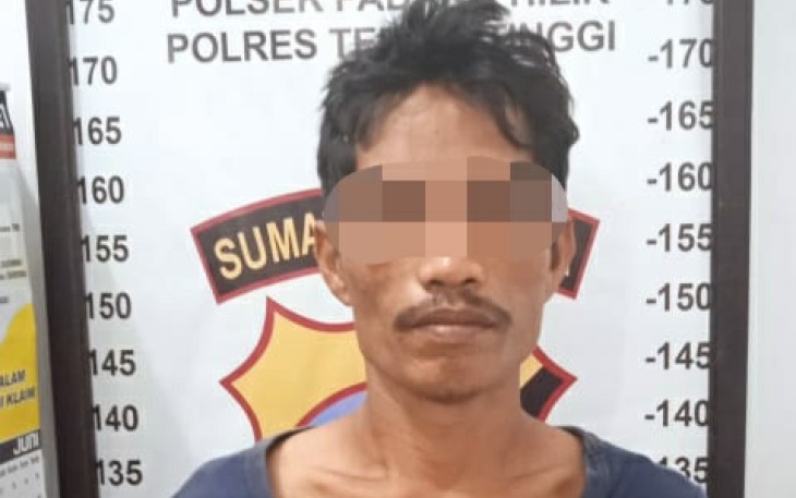 Terduga Pelaku Diamankan    
