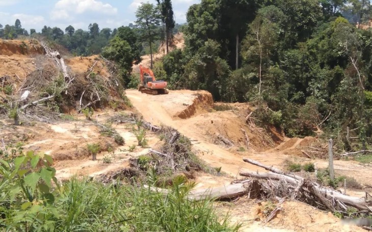 PT Nia Yulided Tidak Berhenti Rusak Hutan, Kebal Terhadap Aturan Moratorium