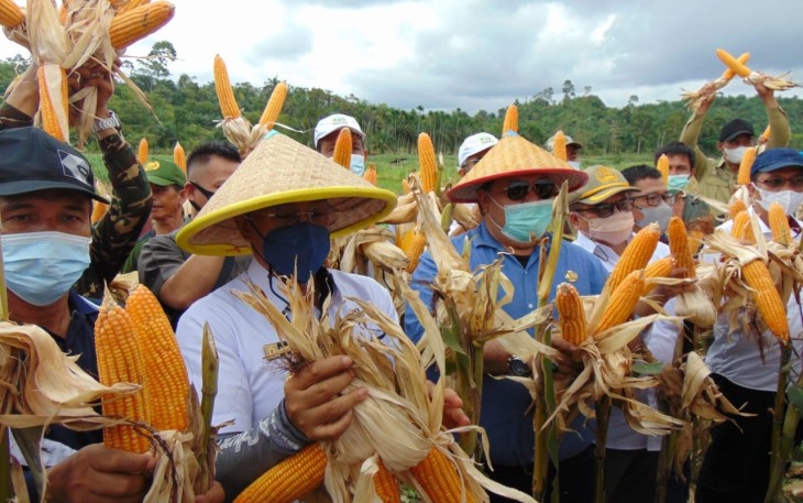 Panen Raya Jagung Nusantara yang dipusatkan di Kabupaten Grobogan, Provinsi Jawa Tengah yang dihadiri langsung oleh Menteri Pertanian