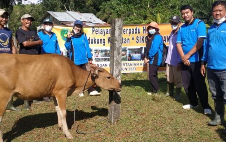 Dispangtan Berikan Pelayanan Hewan Terpadu untuk Ternak di Kota Bengkulu