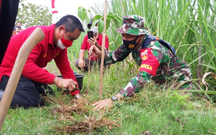Penanaman pohon di Alas Lamin