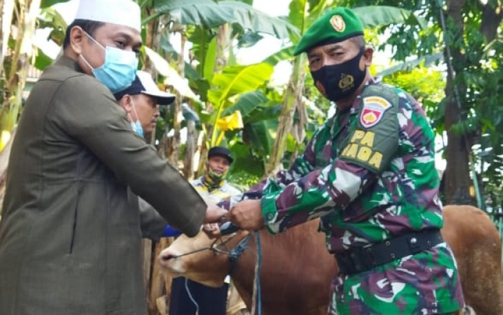 Penyerahan satu ekor hewan kurban