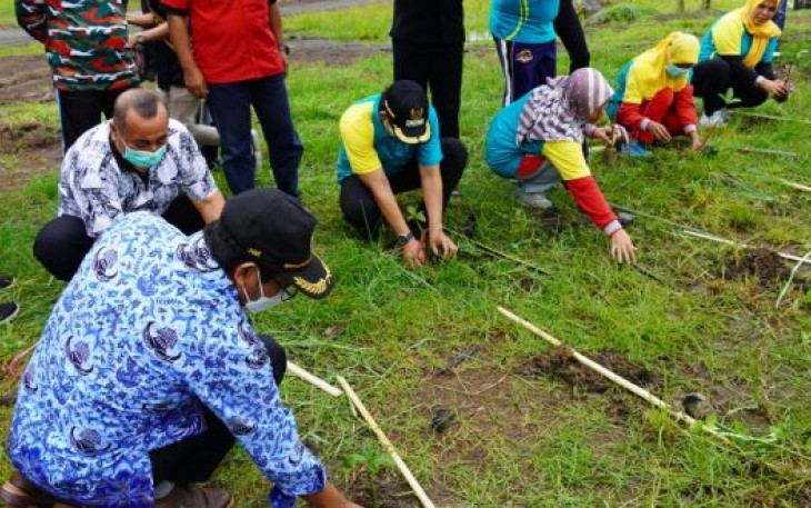 Ditengah Hujan, Wawali Tanam Bibit Mangrov di Kota Tuo bersama Mahasiswa UIN