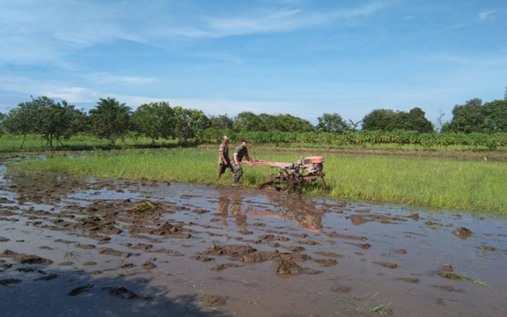 Babinsa Desa Sidorejo saat Bantu Bajak Sawah Petani.