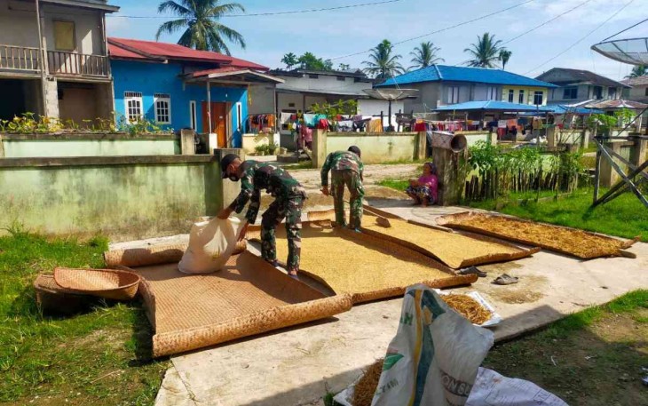 Satgas Yonif 144/JY Membantu Warga Menjemur Padi Darat di Perbatasan