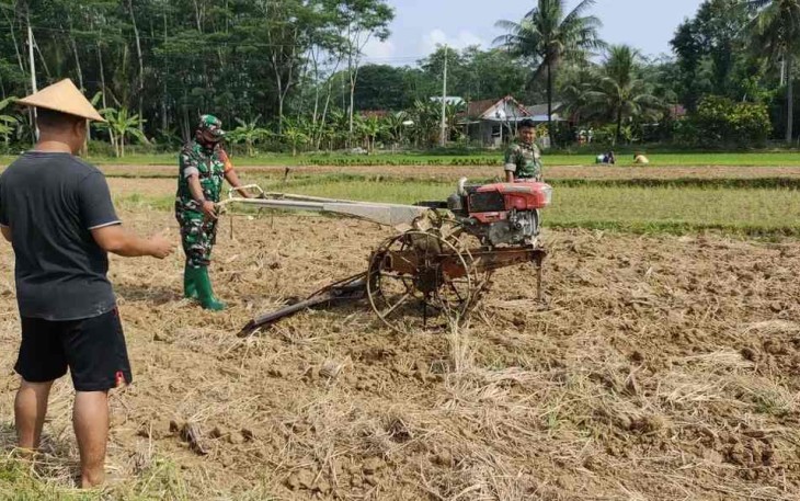 Babinsa Pacitan Pendampingan Pertanian
