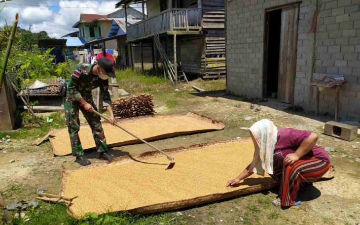 Bantu warga menjemur padi di perbatasan. Kamis (05/05/2022)