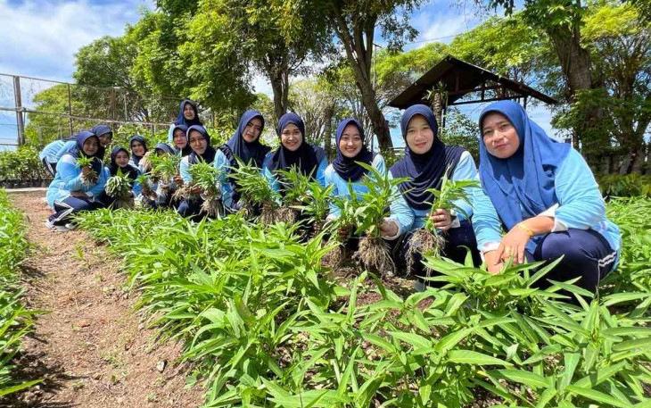 Panen sayur mayur di kebun barokah Lanud Maimun Saleh 