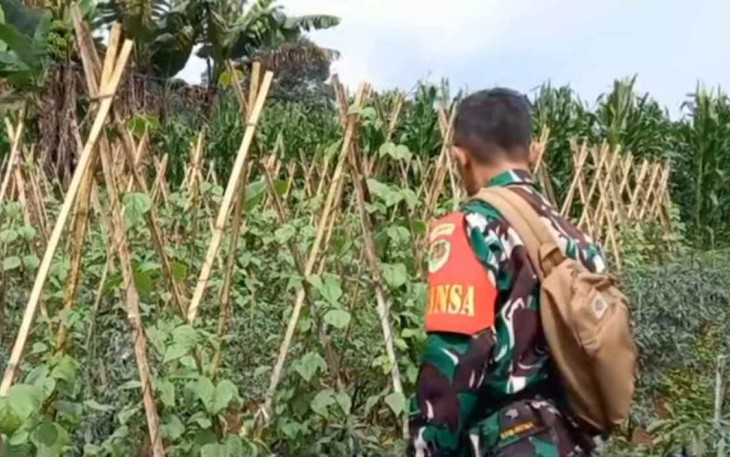 Patroli antisipasi pencurian cabe warga