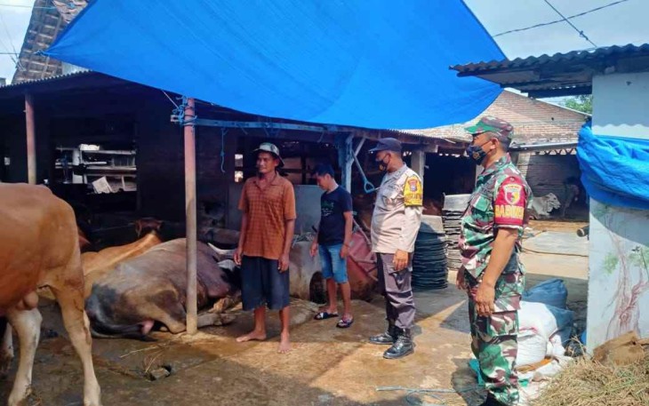 Pengecekan kesehatan hewan ternak jelang idul Adha di wilayah Kodim 0803/Madiun