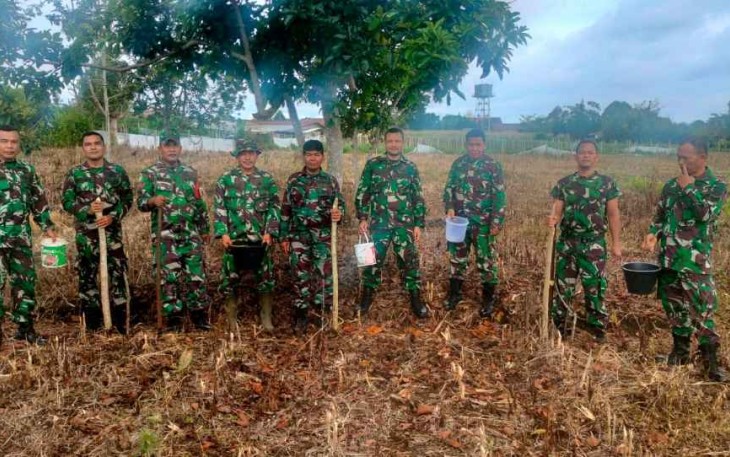 Tanam jagung di lahan milik TNI AD