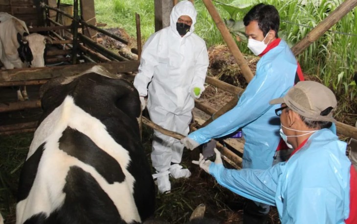 Danrem 081/DSJ saat tinjau hewan ternak di Trenggalek 