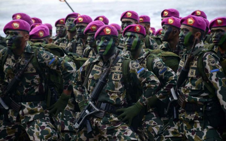 Ilustrasi prajurit Marinir TNI AL