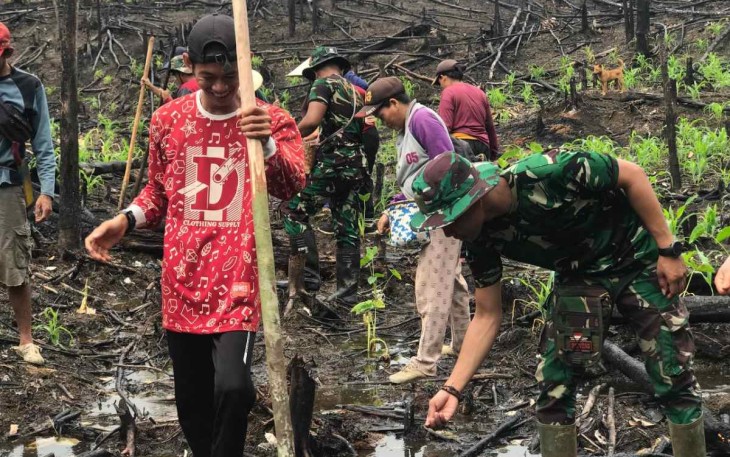 Satgas Yonarmed 19/105 Trk Bogani saat menanam padi di perbatasan 