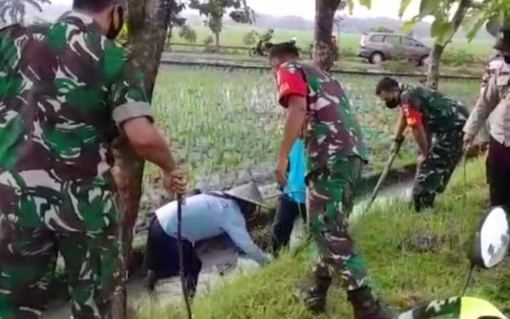 Gropyokan Tikus ala Babinsa Koramil Poron. Minggu (2/10)