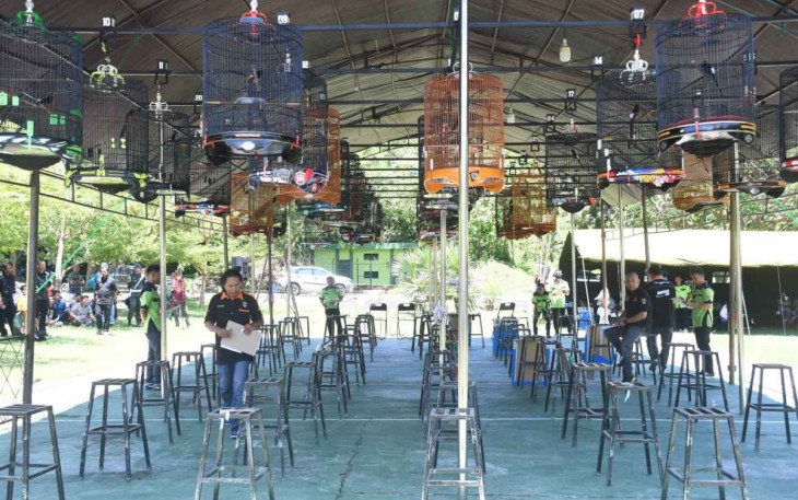 Lomba kicau burung di Korem 142/Tatag