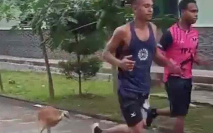 Burung Kasuari ikut berlari dengan calon Tamtama Otsus, Kamis (29/9)