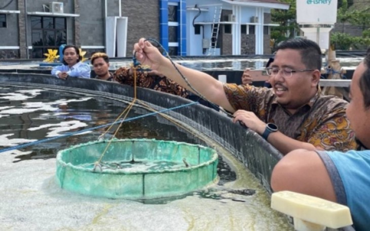 Anwar Sadad saat Ajak Milenial Belajar Budidaya Ikan di MSF Situbondo