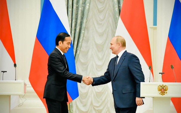 Presiden RI Ir H Joko Widodo saat bertemu Presiden Rusia Vladimir Putin, Kamis sore di Istana Kremlin. Foto (twiter@Jokowi)