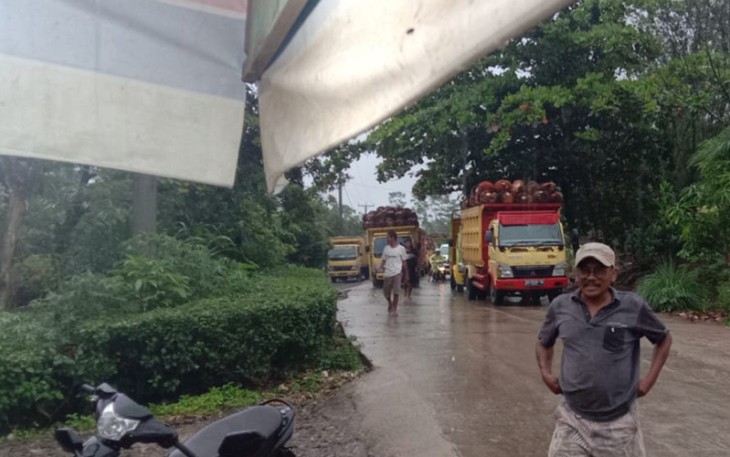 Tampak sejumlah truk menghadang jalan menuju PT SIL 
