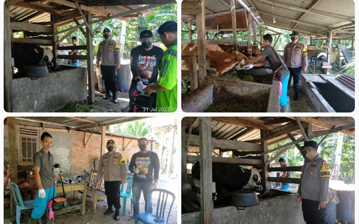 Bhabinkamtibmas Polsek Sukaraja Dampingi Dinas Peternakan saat Lakukan Vaksinasi PMK