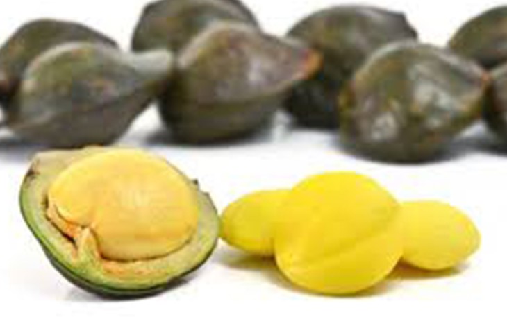 Jengkol