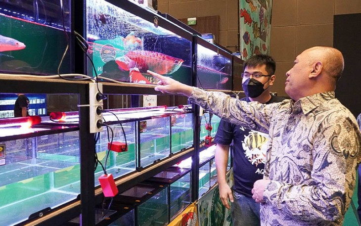 MenKopUKM Teten Masduki pada pembukaan Kalikan Expo 2022, yang merupakan pameran ikan hias air tawar terbesar di Indonesia, di JI-Expo Kemayoran Jakarta, Jum'at (14/10/2022).