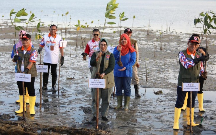 Tanam Mangrove 