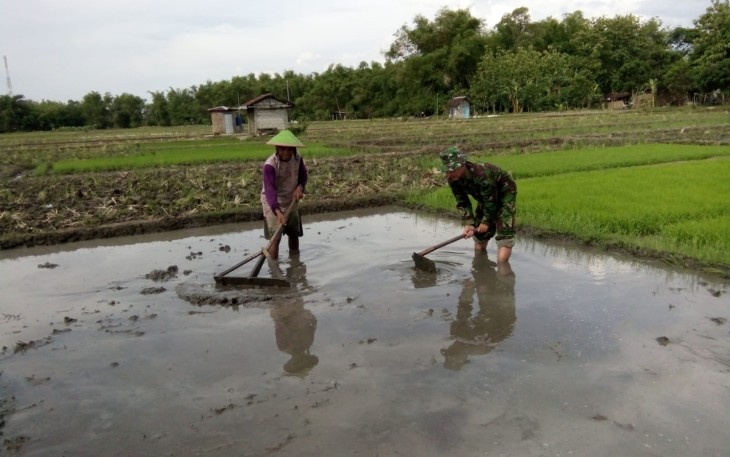 Babinsa Bantu Penyimpanan Lahan