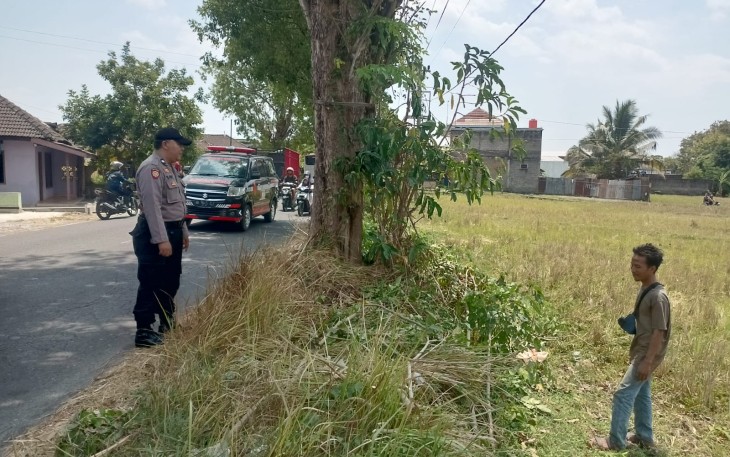 Lokasi kejadian terjatuhnya Suprijanto (37) dari atas pohon setelah tersengat aliran listrik saat mencari daun untuk pakan ternak, Rabu (13/9/2023) pagi.