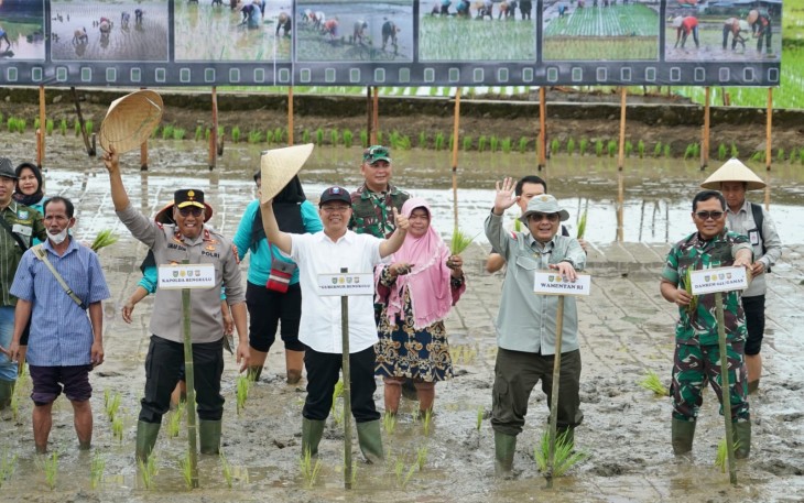 Tanam Padi Serentak 
