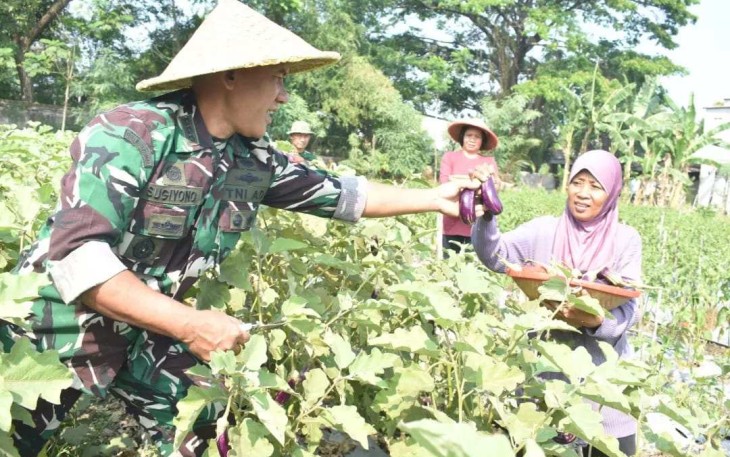 Danrem 081/DSJ Kolonel Inf H. Sugiyono membagikan hasil panen terong ke masyarakat 