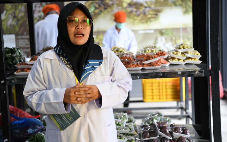 Program Magang KemenKopUKM 