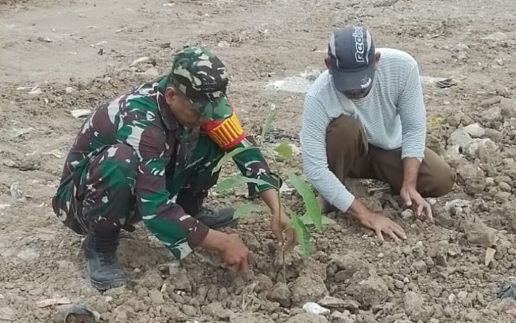 Penghijauan bantaran sungai