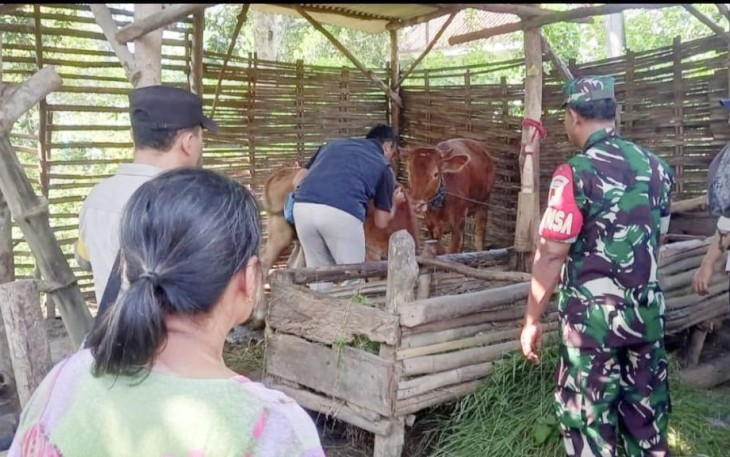 Vaksinasi PMK ternak warga binaan 