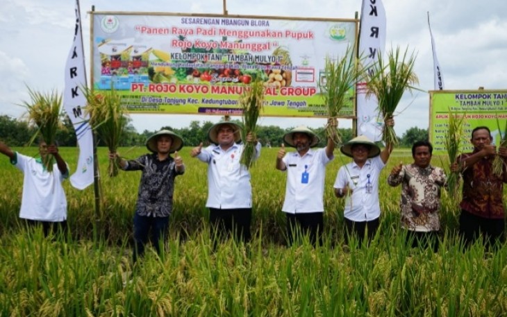 Bupati Blora Arief Rohman ikut panen raya padi petani Desa Tanjung yang menggunakan pupuk organik.