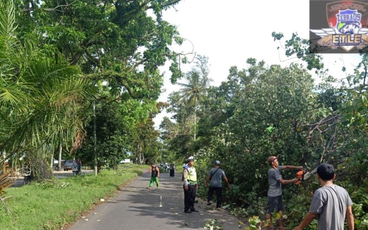 Cegah Laka Lantas, Polresta Bengkulu Gelar Pengaturan Dilokasi Pohon Tumbang