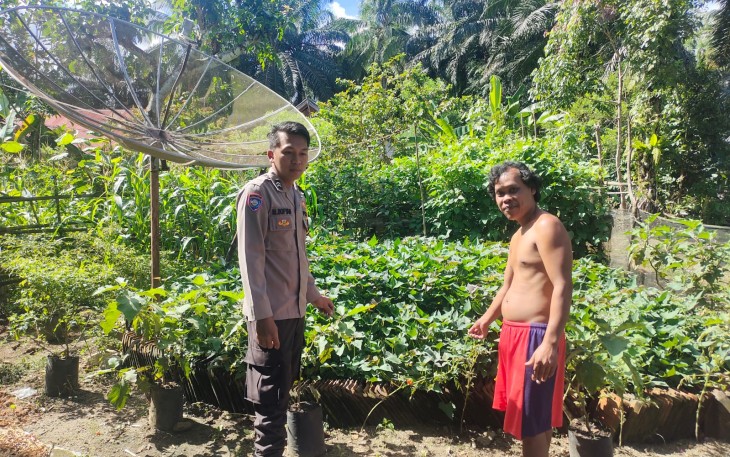 Dukung Ketahanan Pangan Nasional, Bhabinkamtibmas Polsek Putri Hijau Melaksanakan Sambangi dan Cek Tanaman Holtikultura Warga