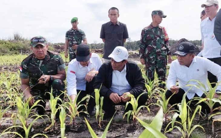 Panglima Kodam XII/Tanjungpura Mayjen TNI Iwan Setiawan, S.E., M.M., mendampingi Menteri Pertanian Republik Indonesia Amran Sulaiman meninjau sejumlah lokasi Food Estate di wilayah Provinsi Kalimantan Tengah
